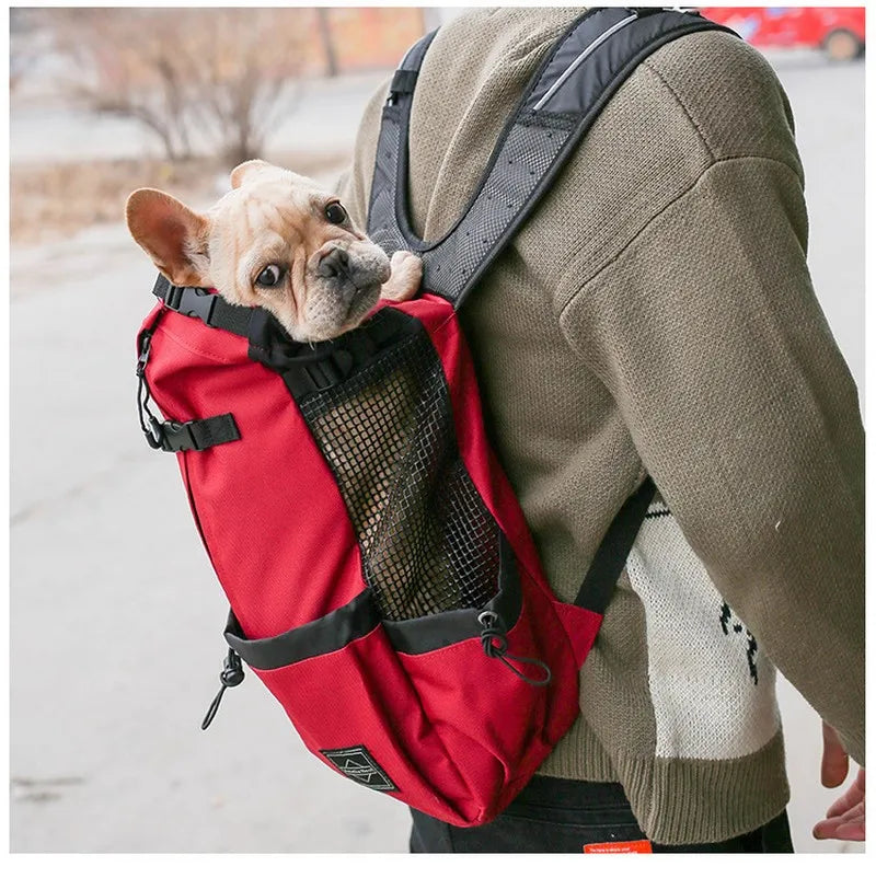Breathable Dog Carrier Backpack for Travel, Hiking & Motorcycle – Mesh Pet Backpack