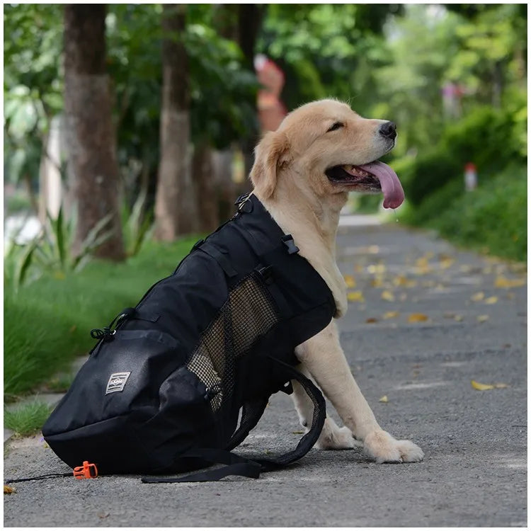 Breathable Dog Carrier Backpack for Travel, Hiking & Motorcycle – Mesh Pet Backpack
