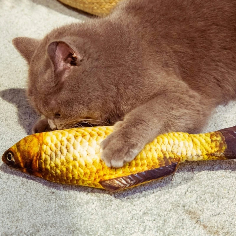 Interactive Dancing Fish Cat Toy - Plush Simulation with Catnip Pocket, Funny Pet Toy for Cats