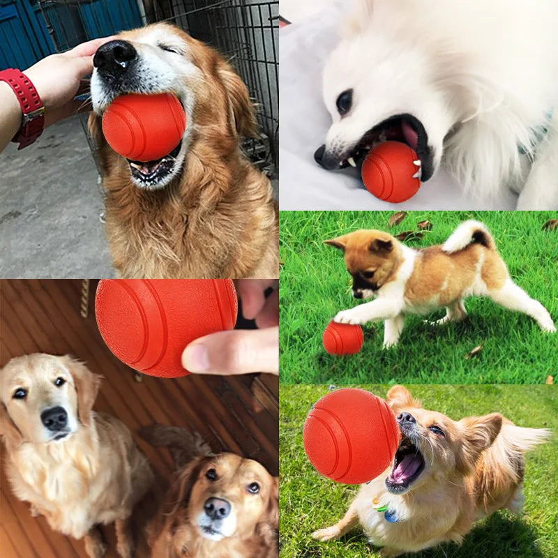 Bite-Resistant Rubber Dog Ball Toy – Chew-Proof Fetch Toy for Dogs & Puppies, Sizes S–XL (5–9 cm | 2–3.5 in) – Red