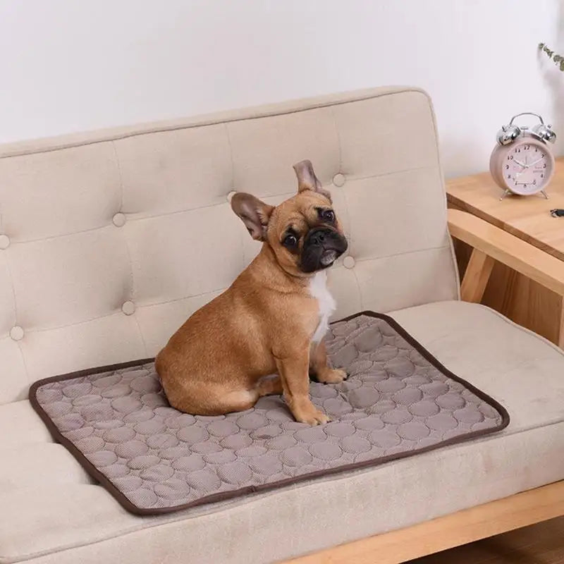 Cooling Pet Mat for Dogs & Cats – Breathable Washable Summer Pad, Multiple Sizes XS–XXL (40x30–150x100 cm | 15.7x11.8–59.1x39.4 in)