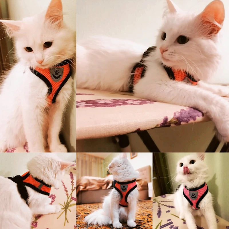 Adjustable Mesh Cat & Small Dog Harness Vest with 1.2m Leash S-XL Breathable Polyester Reflective