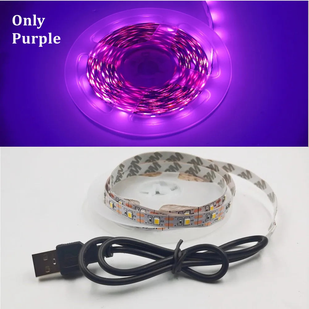 5V USB LED Strip Light 5m (16.4ft) & 1m (3.3ft) SMD3528 — Waterproof Flexible Color Strip Warm/Cool White + RGB for Cabinet, Ceiling & TV Backlight
