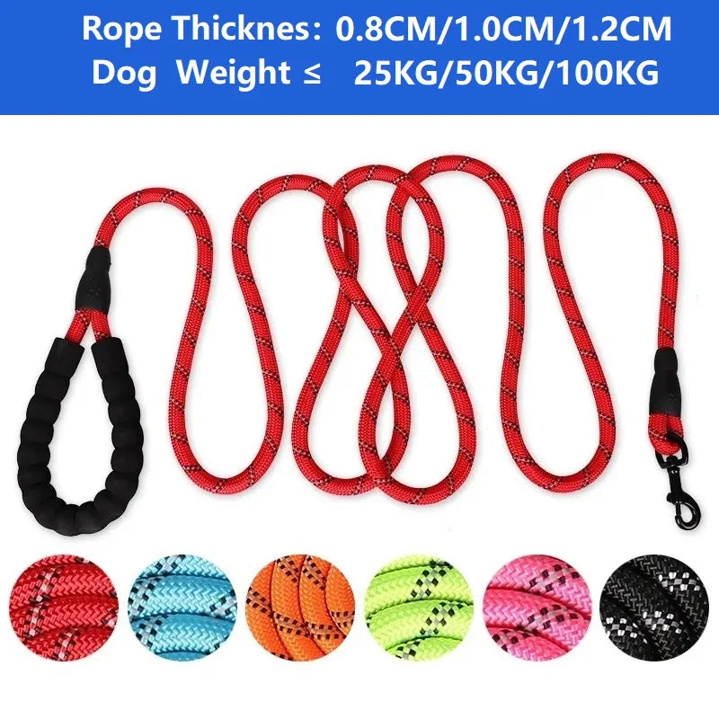 Reinforced Nylon Dog Leash with Padded Handle - Strong Leash for Small, Medium & Large Dogs (120/150/200/300 cm | 4/5/6.6/9.8 ft)