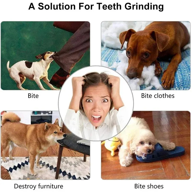 Dog & Cat Chew Toy Ball, Non-Toxic Bite-Resistant Treat Feeder & Dental Cleaning Ball