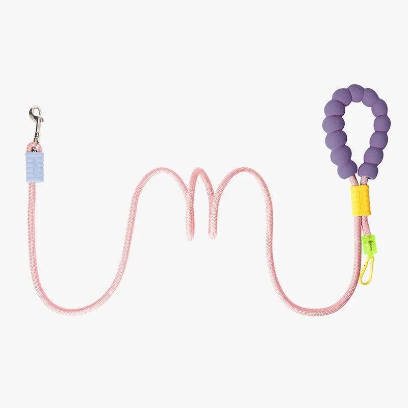 Durable Dog Leash – Sturdy Basic Pet Leash for Everyday Walks and Training