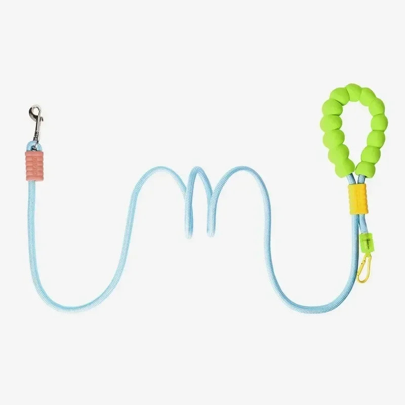 Durable Dog Leash – Sturdy Basic Pet Leash for Everyday Walks and Training