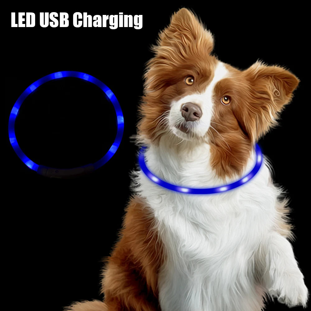 Rechargeable USB LED Dog Collar - Waterproof Luminous Silicone Night Safety Collar, Adjustable Trim-to-Fit