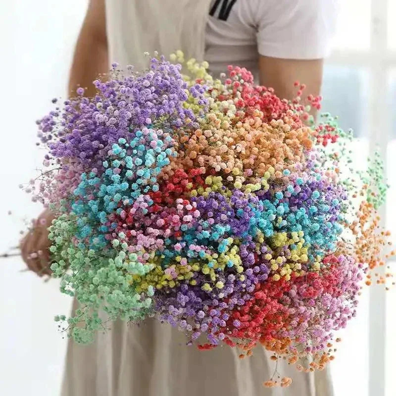100g (3.5 oz) Dried Baby's Breath Gypsophila Bouquet - Preserved Boho Floral Home & Wedding Decor