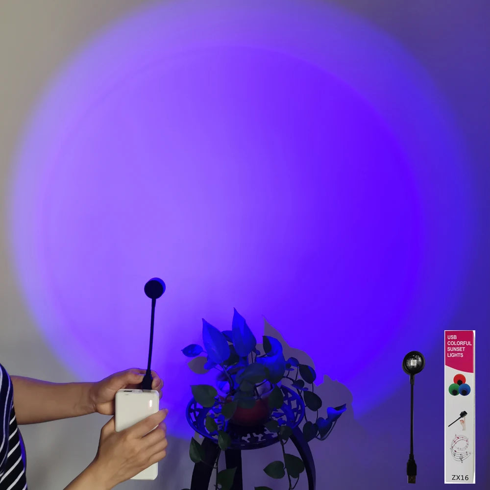 USB Powered LED Laser Starry Sky Projector Lamp for Car & Room Ceiling 5V