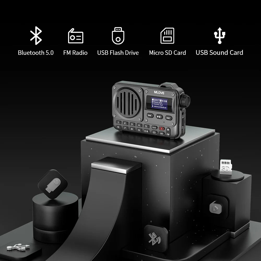 Portable Bluetooth Speaker with FM Radio, LCD Display, AUX, USB & MicroSD Playback — 8W, 20‑Hour Battery