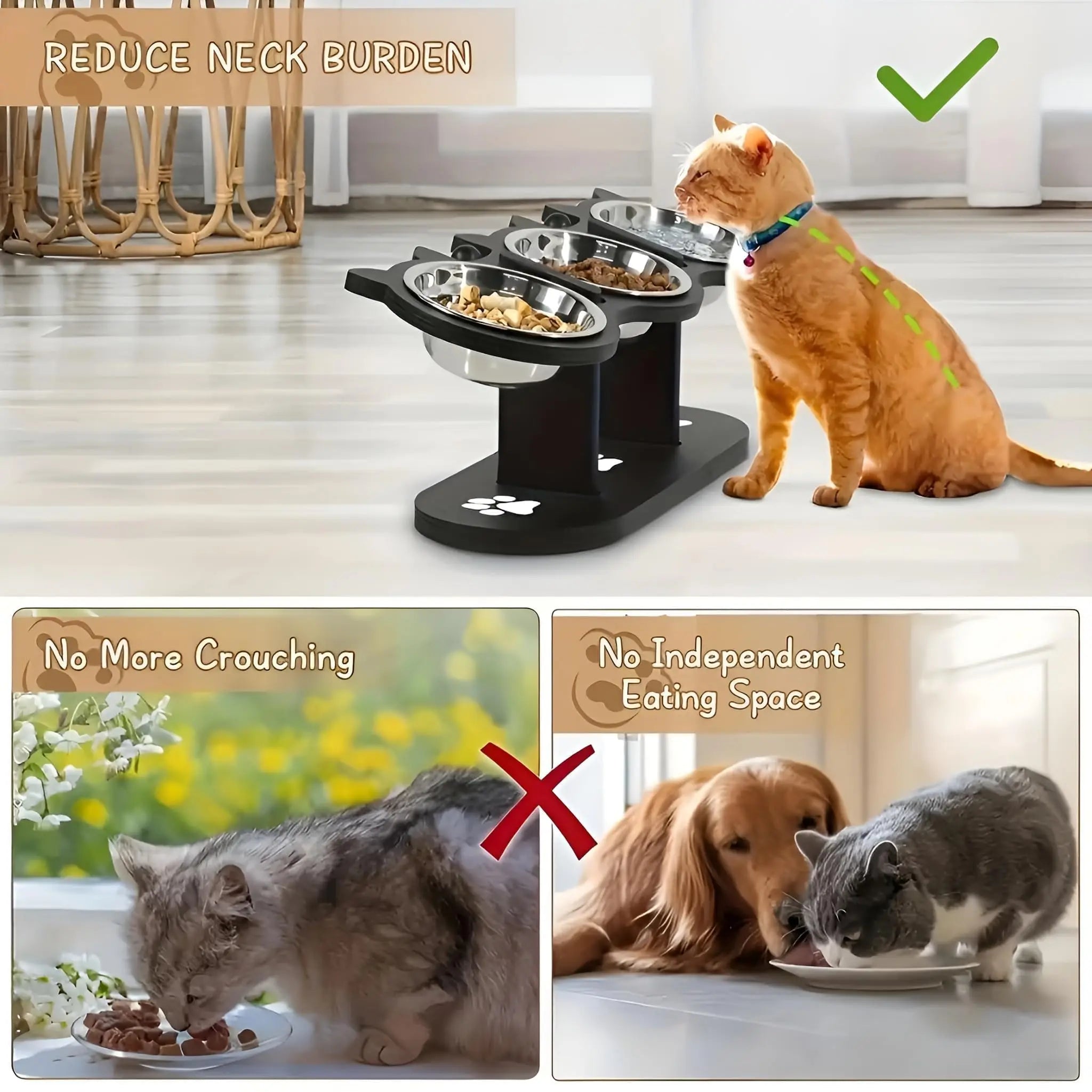 Elevated Stainless Steel Cat Bowl with Black Wooden Stand — 15° Tilted Pet Feeder