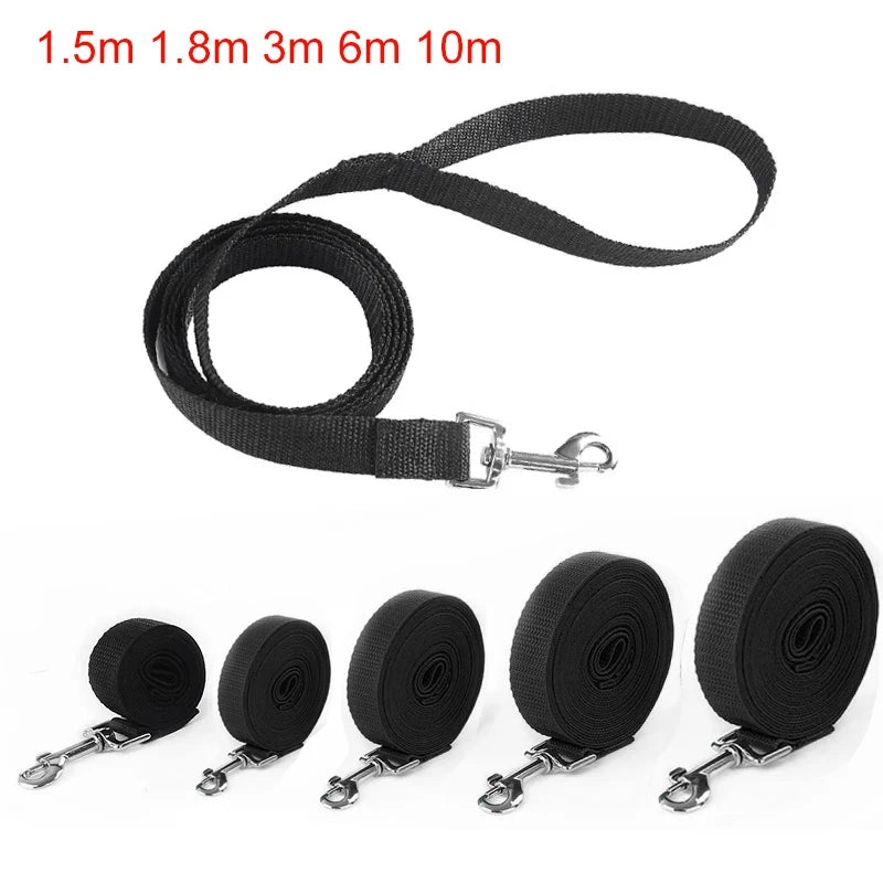 Long Strong Nylon Dog Leash - Training & Walking Lead, 10m/15m/20m (33/49/66 ft) for Small to Large Dogs & Puppies