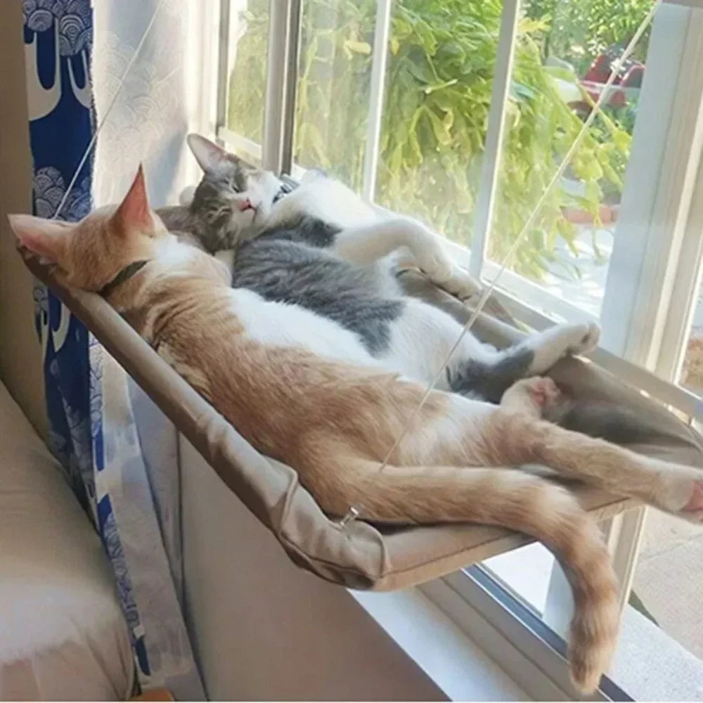 Window Cat Hammock Suction Hanging Bed with Washable Cover 55 x 35 cm (21.7 x 13.8 in) Holds 20 kg / 44 lb