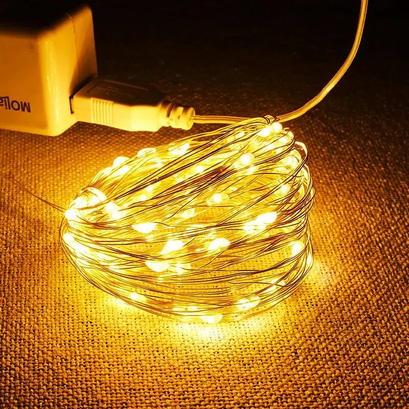 USB 5M (16.4 ft) Silver Wire Fairy Lights – 50 LED Waterproof USB String Lights for Christmas Wedding Party