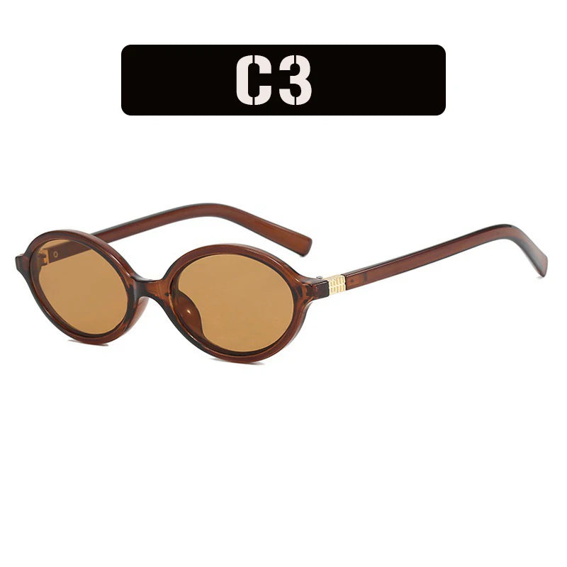 Vintage Oval Sunglasses for Women Small Retro Leopard Frame Anti-Blue Light UV400