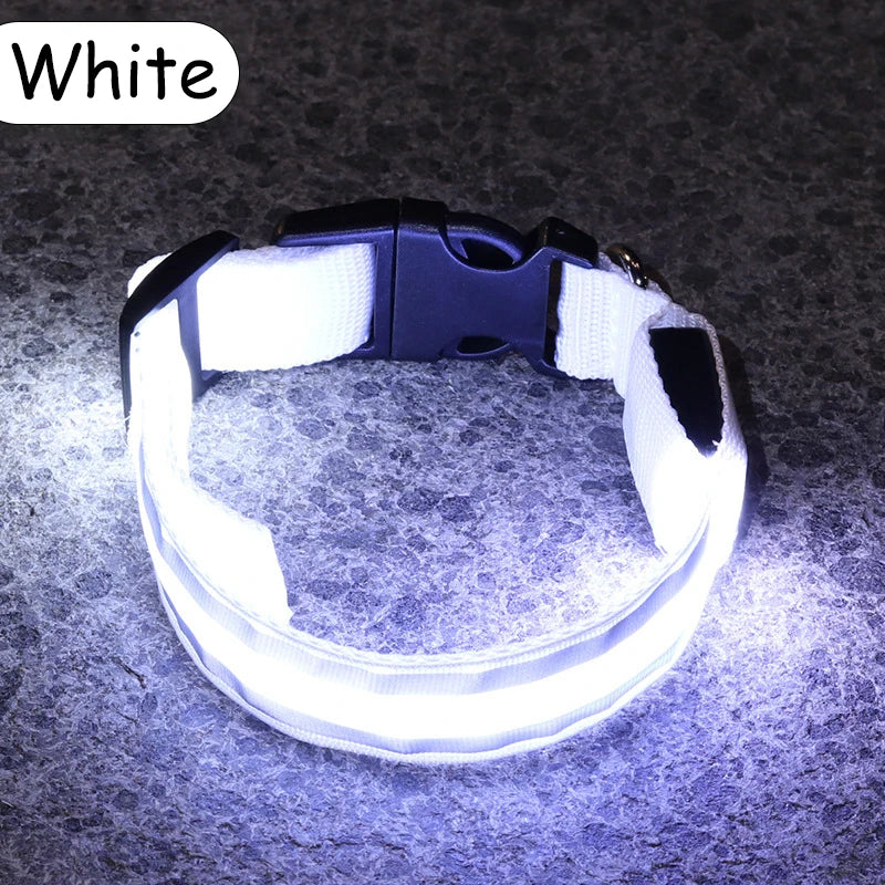 LED Luminous Nylon Dog Collar – Glow Reflective Safety Collar for Night Walks (XS-XL)