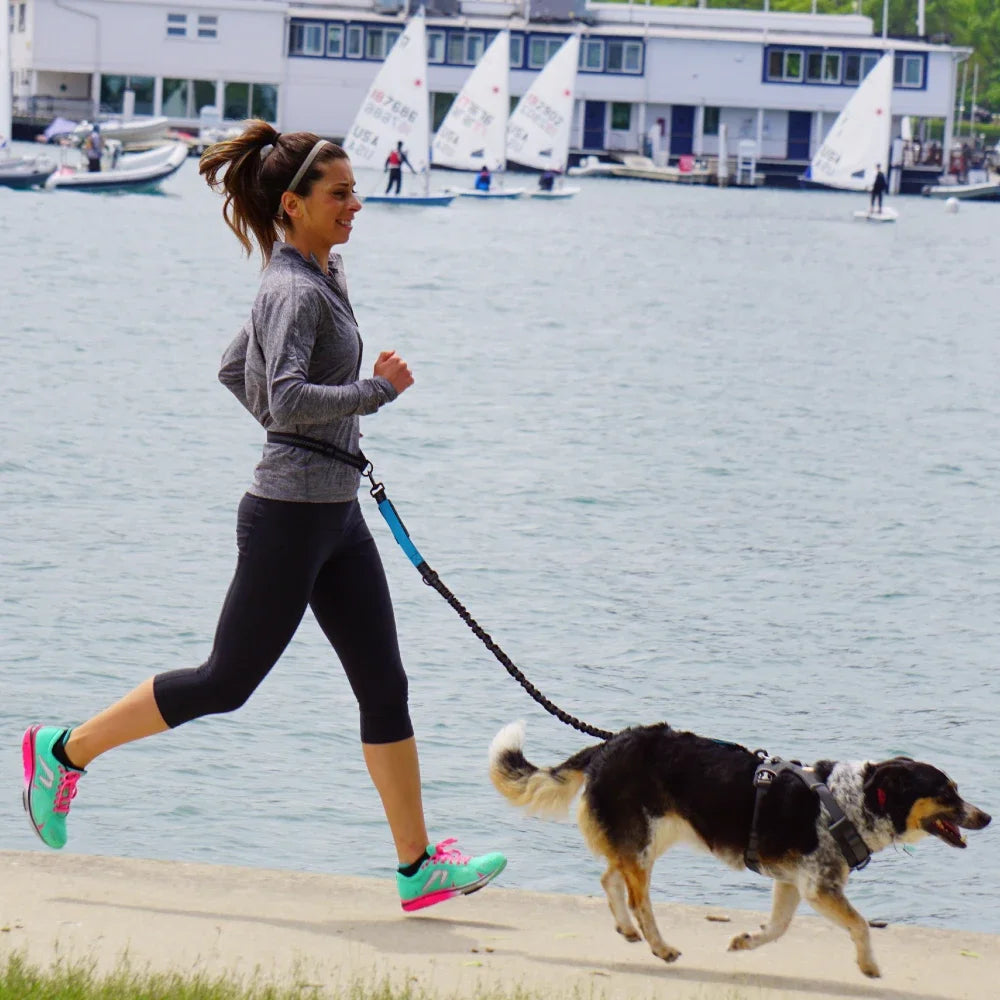 Hands-Free Dog Leash – Adjustable Waist Belt & Chest Strap, Reflective Running Jogging Leash 27.5–47 in (70–120 cm) Waist, 50–70 in (125–180 cm) Leash