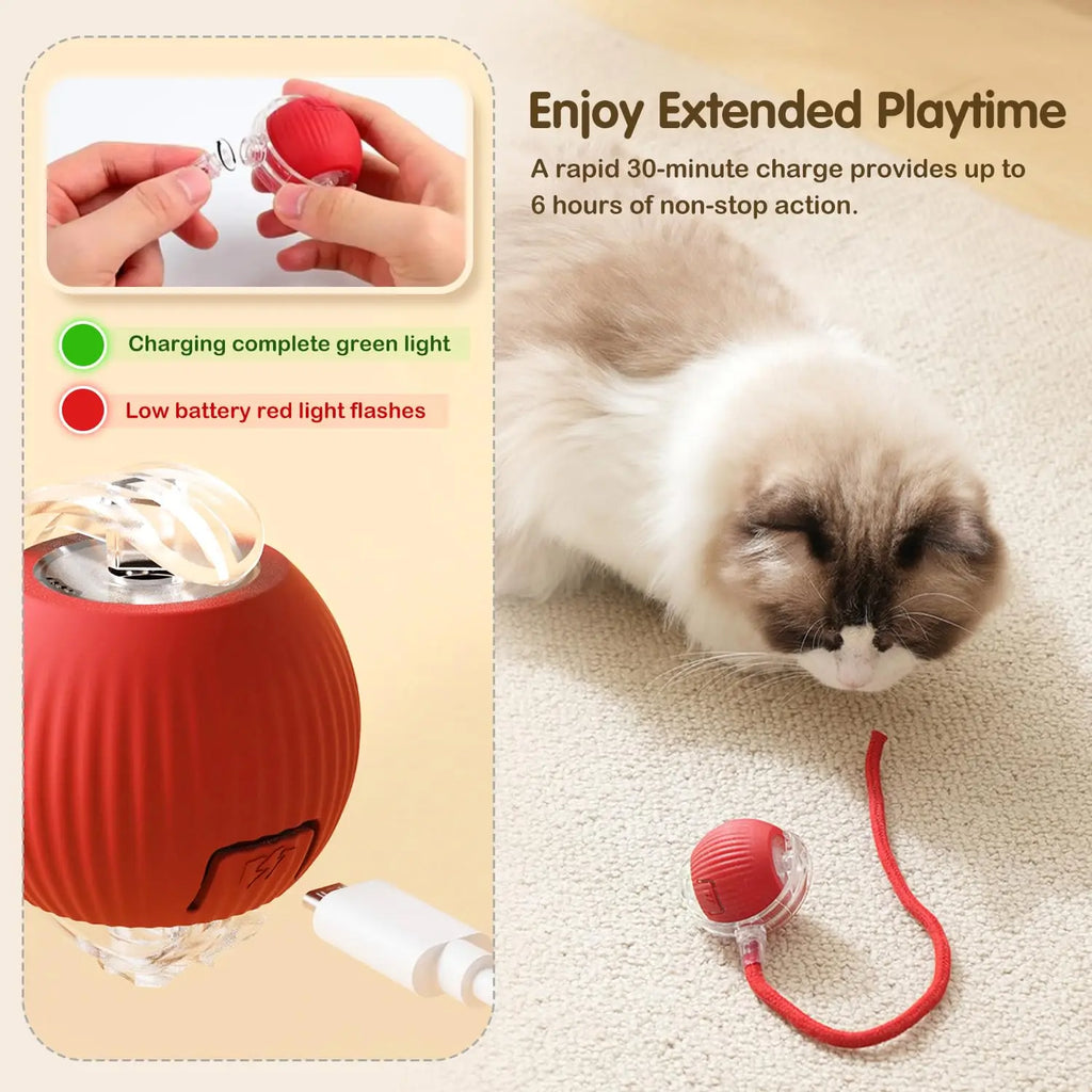 Interactive Rechargeable Cat Ball Toy with Faux Fur Tail — Automatic Rolling Smart Pet Ball (USB-C) for Cats & Small Dogs