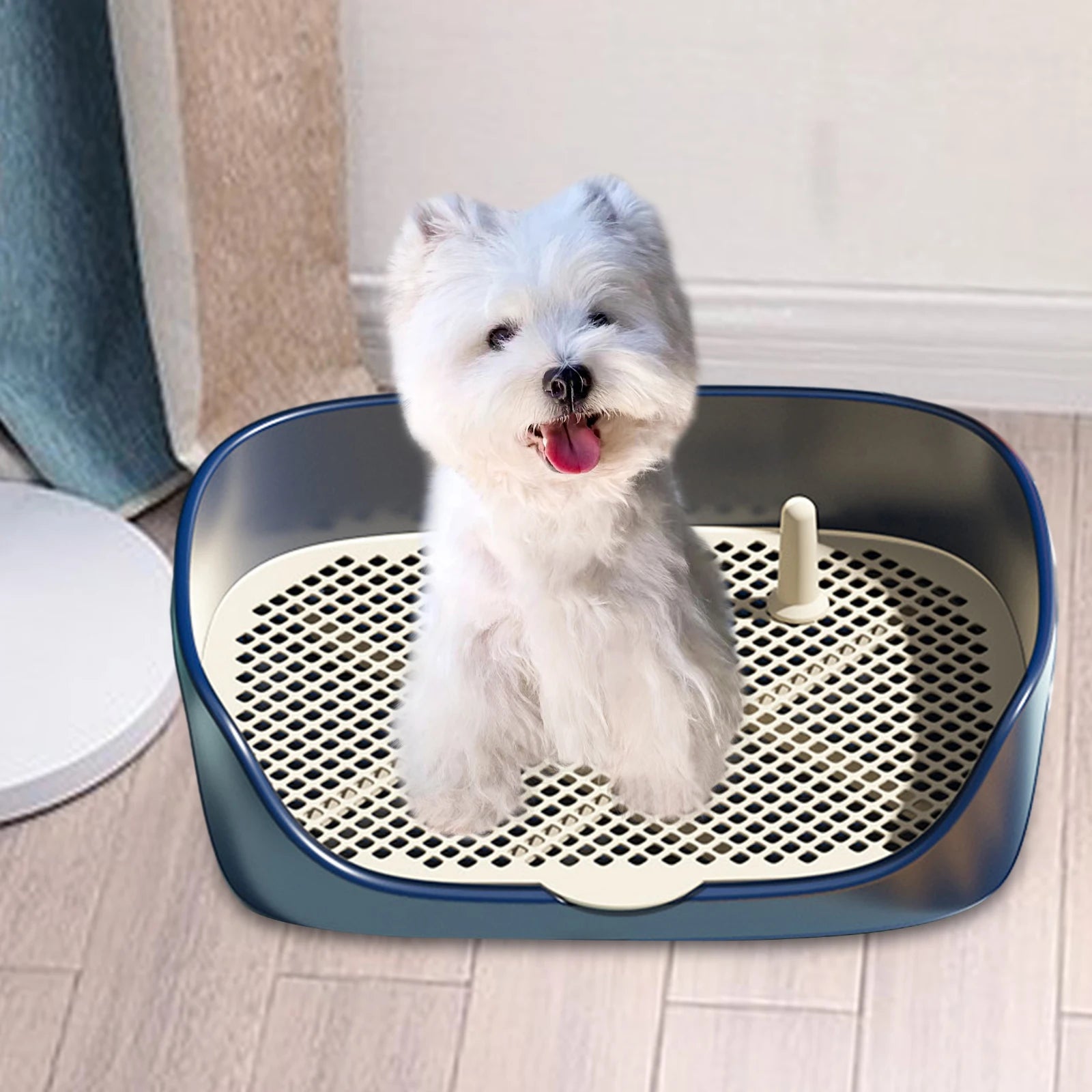 Portable Dog & Cat Training Potty with Splash Guard 15.75 x 11.81 x 4.33 in (40 x 30 x 11 cm) - Indoor/Outdoor Litter Box Trainer, Non-Slip Detachable Grid