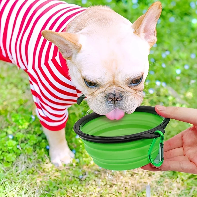 Collapsible TPR Travel Pet Bowl – Portable Dog & Cat Food and Water Bowl