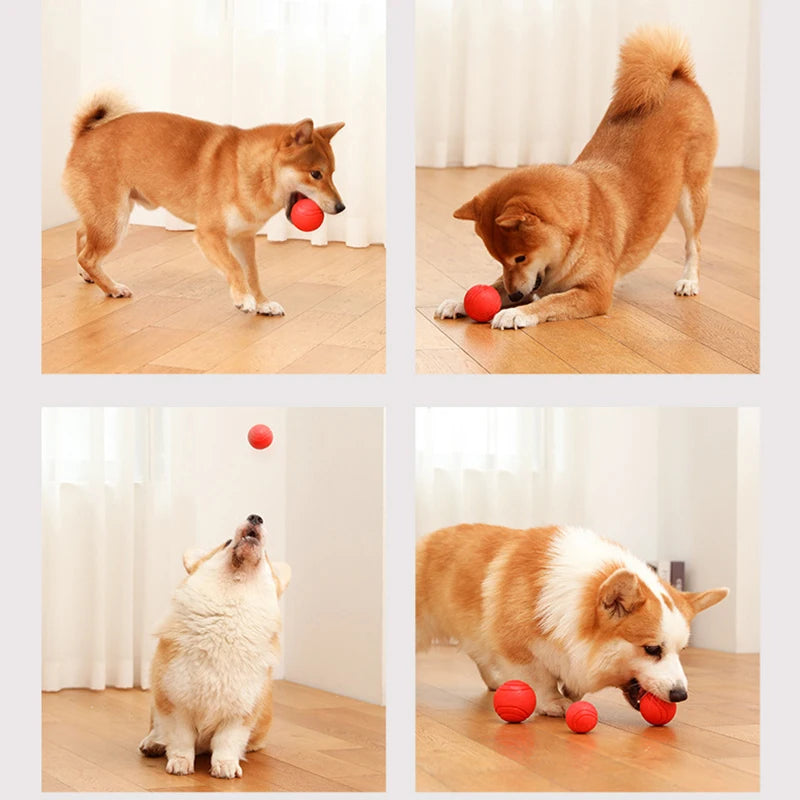 Indestructible TPR Dog Molar Ball – Bite-Resistant Interactive Training Toy, Sizes S–XL (1.8–2.8 in / 4.5–7 cm)