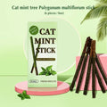 6-Pack Natural Silvervine (Matatabi) Cat Chew Sticks – Catnip Treats for Dental Health, Anxiety Relief & Play