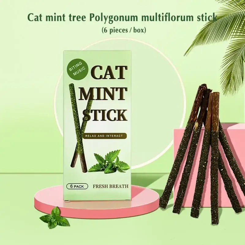 6-Pack Natural Silvervine (Matatabi) Cat Chew Sticks – Catnip Treats for Dental Health, Anxiety Relief & Play