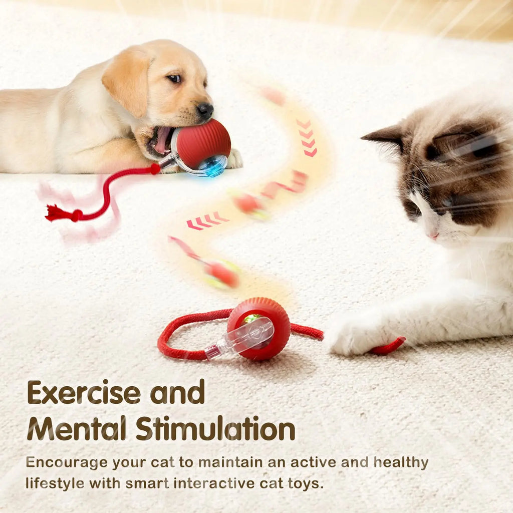 Rechargeable Interactive Cat Ball Toy — Automatic Rolling Smart Toy with Tail, LED & Obstacle Avoidance