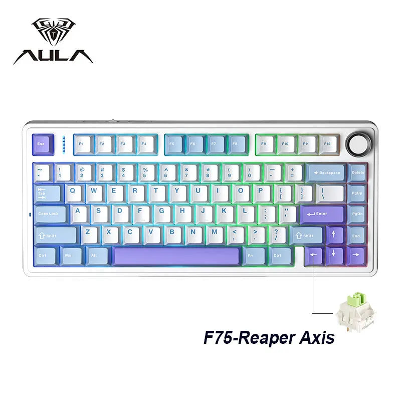 75% RGB Mechanical Gaming Keyboard — 2.4G Wireless, Bluetooth & Wired USB, Hot-Swap Switches, Gasket Mount, OEM Profile
