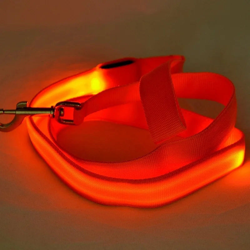 LED Light-Up Dog Leash 47.2 in (120 cm) Luminous Rope Safety Lead for Night Walks