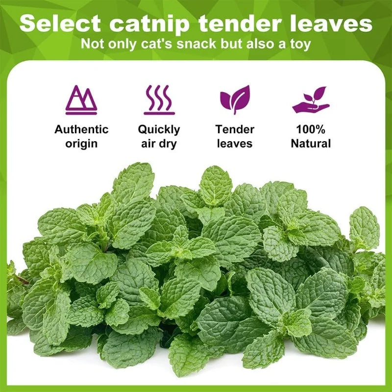 Natural Catnip Balls for Cats - 5/10/20-Pack Licking & Chew Toys, 13-15 mm (0.51-0.59 in)
