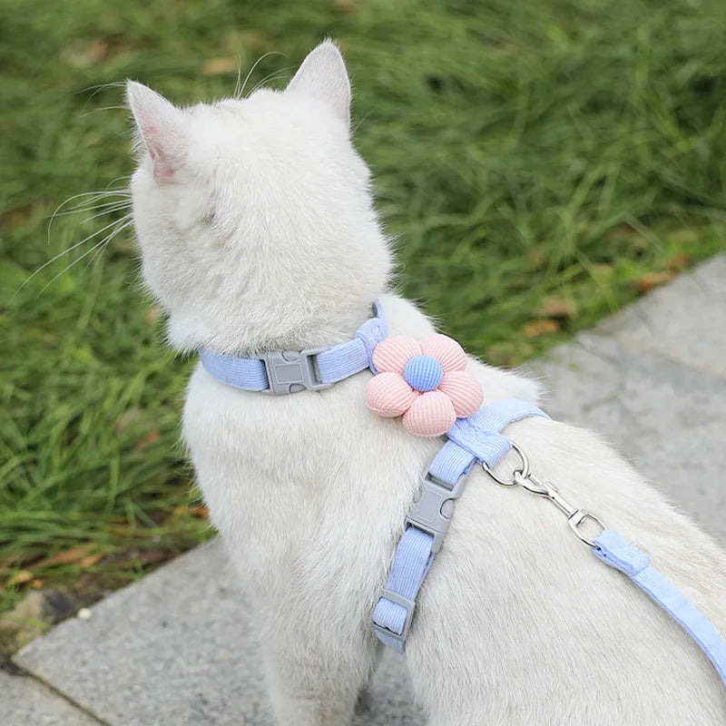 Adjustable Breathable Cat & Small Dog Harness with 120 cm (47 in) Leash, Escape-Proof Chest Strap S/M