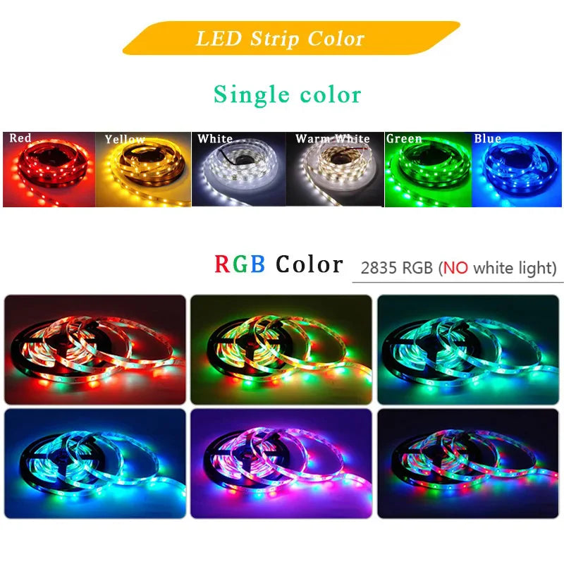 RGB LED Strip Light 5M (16.4 ft) 300 LEDs SMD2835 12V Waterproof Flexible Tape Light - Warm White/White/Red/Green/Blue for Room Decor