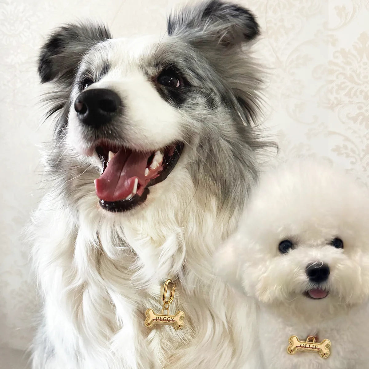 Personalized Pet ID Name Tag – Custom Engraved Anti-Lost Collar Tag for Dogs & Cats
