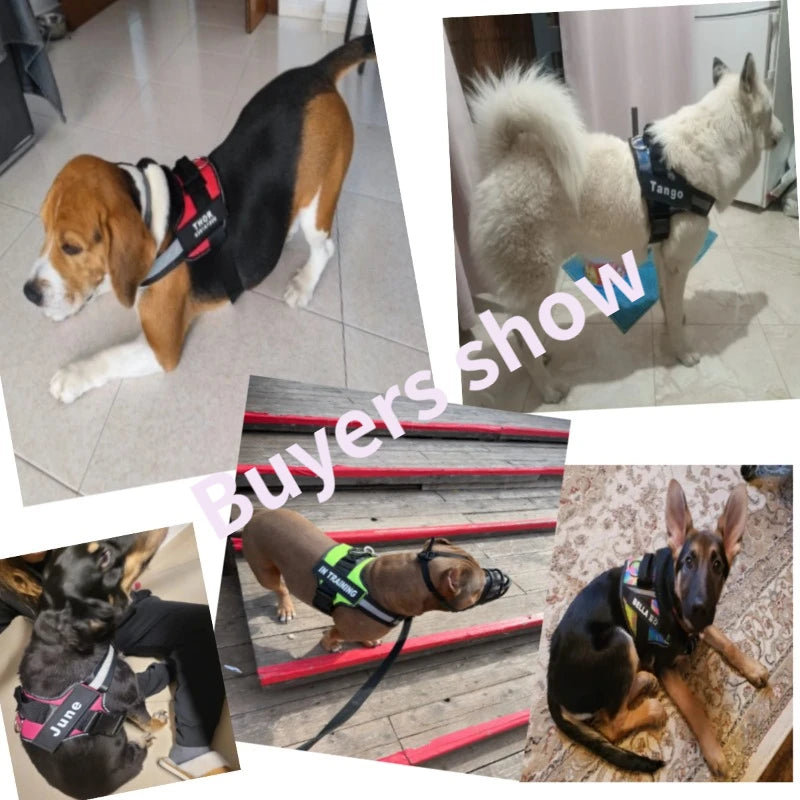 Personalized Reflective No-Pull Dog Harness Vest - Adjustable Nylon Pet Harness with Handle & Leash Attachment - Small/Medium/Large