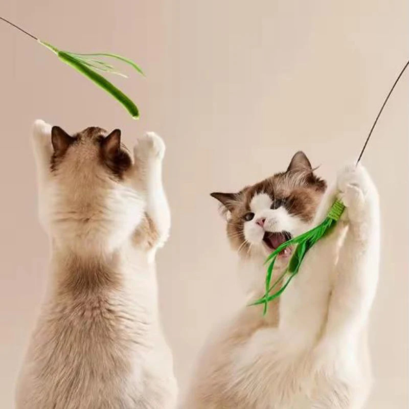 Interactive Feather Teaser Cat Wand – Flexible Wire Durable Feather Pole Pet Toy