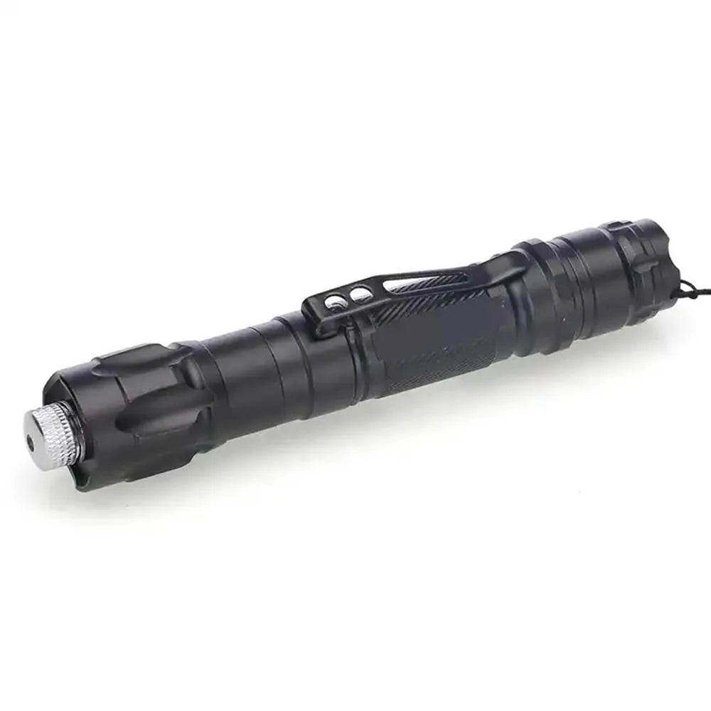 Mini 2-in-1 Cat Keychain Laser Pointer and LED Flashlight Portable Pet Training Toy