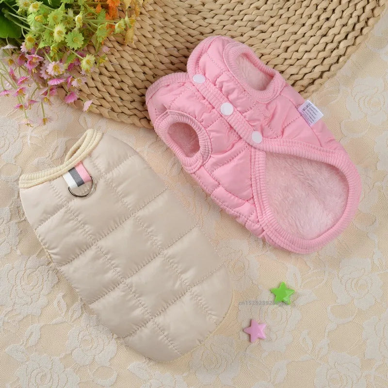 Winter Padded Windproof Dog Coat for Small Dogs - Chihuahua & Puppy Jacket