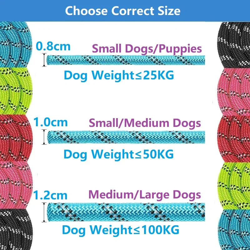 Reinforced Nylon Dog Leash with Padded Handle - Strong Leash for Small, Medium & Large Dogs (120/150/200/300 cm | 4/5/6.6/9.8 ft)