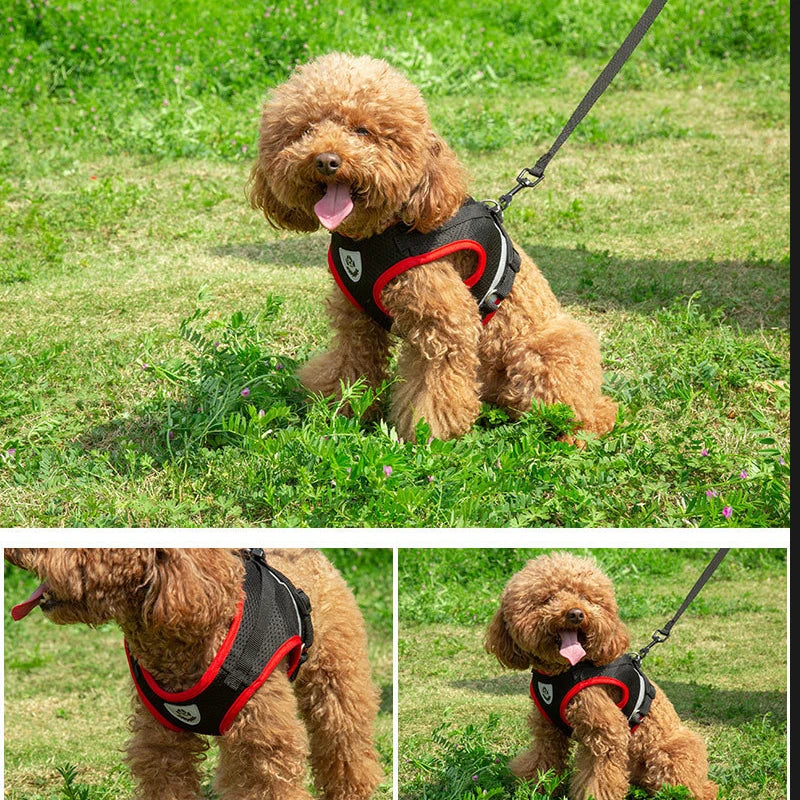 Reflective Adjustable Dog & Cat Harness Vest Set with 1.5m Leash – Breathable Mesh Puppy Kitten Harness (XS-L)