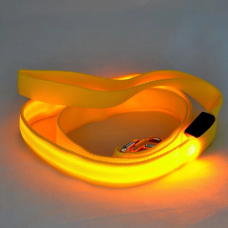 LED Light-Up Dog Leash 47.2 in (120 cm) Luminous Rope Safety Lead for Night Walks