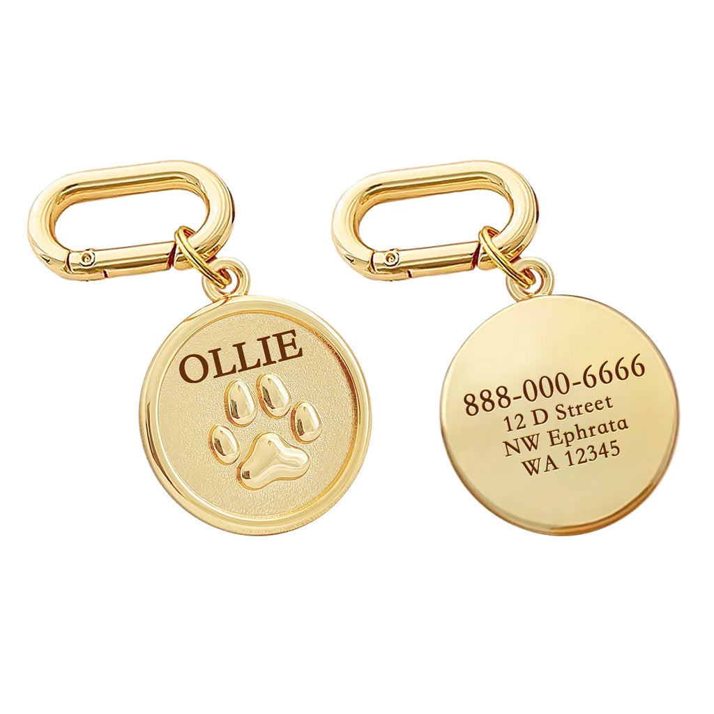 Personalized Pet ID Name Tag – Custom Engraved Anti-Lost Collar Tag for Dogs & Cats