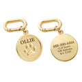 Personalized Pet ID Name Tag – Custom Engraved Anti-Lost Collar Tag for Dogs & Cats