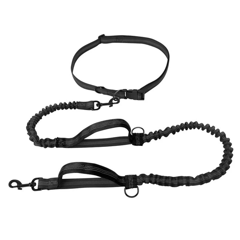 Hands-Free Double Elastic Reflective Dog Leash — Retractable Running Waist Belt, Adjustable Waist 27.6–47.2 in (70–120 cm), Leash 63–102 in (160–260 cm)