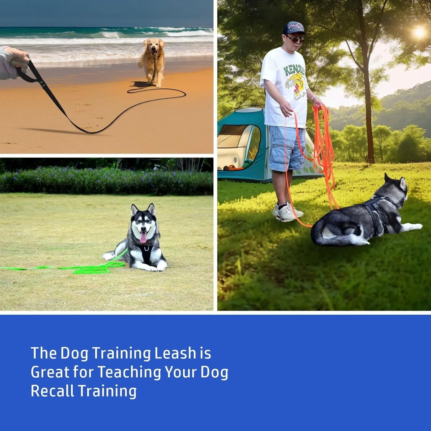 Waterproof PVC Dog Long Leash – Durable Easy-Clean Training & Recall Lead for Small to Large Dogs, 10 ft (3 m), 16 ft (5 m), 33 ft (10 m), 50 ft (15 m)