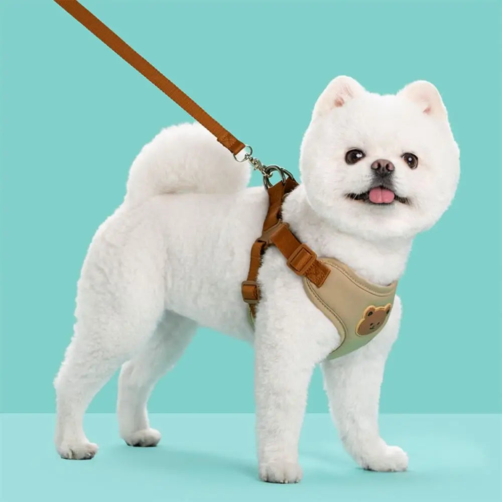 Adjustable Anti-Escape Pet Harness & Leash Set - No-Pull Chest Strap Vest for Dogs & Cats, Outdoor Walking
