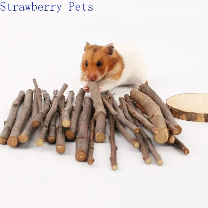 Natural Apple Wood Chew Sticks for Small Pets 5/10/40 Pack - Hamster Rabbit Chinchilla Squirrel Parrot Dental Toy