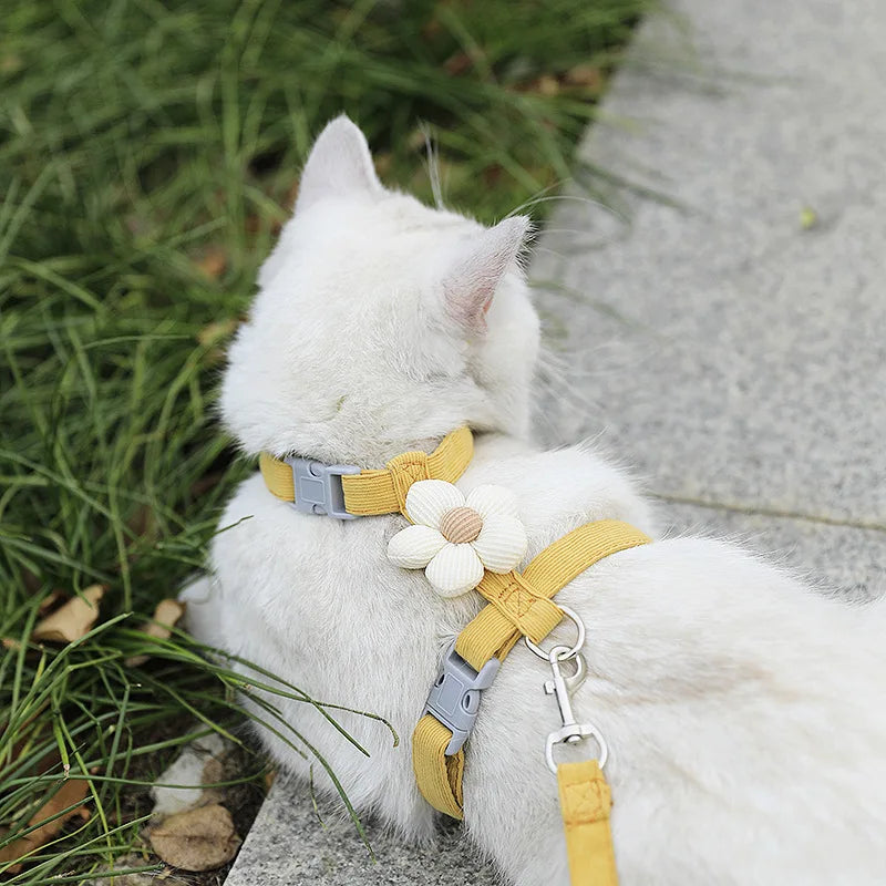 Adjustable Breathable Cat & Small Dog Harness with 120 cm (47 in) Leash, Escape-Proof Chest Strap S/M