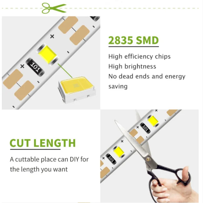 5V USB LED Strip Light 5m (16.4ft) & 1m (3.3ft) SMD3528 — Waterproof Flexible Color Strip Warm/Cool White + RGB for Cabinet, Ceiling & TV Backlight